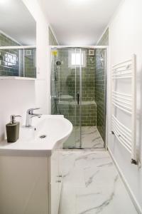 bagno con lavandino e doccia di Transylvania Guest House a Braşov