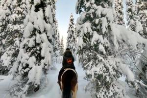 Fotografie z fotogalerie ubytování Hytte på Myhre Gård v destinaci Skammestein + 6 fotografií