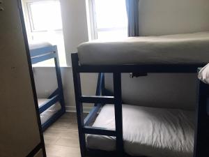 a dorm room with a bunk bed and a bunk ladder at Finn McCools Giants Causeway Hostel in Bushmills