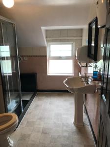 a bathroom with a sink and a shower and a toilet at Finn McCools Giants Causeway Hostel in Bushmills