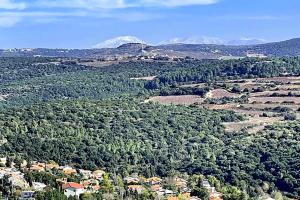 une vue aérienne sur une ville avec des arbres et des montagnes dans l'établissement אוויר הרים, à Kefar Weradim