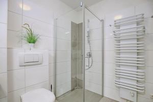 ein Badezimmer mit einer Glasduschkabine und einem WC in der Unterkunft Hanse-Haus Wohnung 04 in Boltenhagen + 21 Fotos