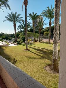 A garden outside Studio Playa Paraíso