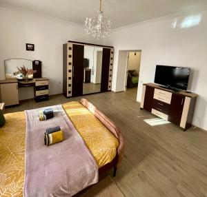 a large room with a bed and a television at В САМОМУ ЦЕНТРІ МІСТА, ЗДАЮТЬСЯ В ПОДОБОВУ ОРЕНДУ, АПАРТАМЕНТИ ZONEofCOMFORT in Chernivtsi
