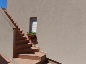 Fotografie z fotogalerie ubytování Apartman Jurišić v destinaci Vir