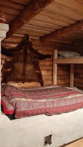 Фотография из галереи ЮртаОтель в городе Mamoshino  +37 фотографий