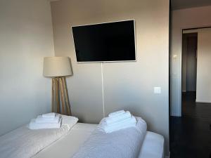 ein Hotelzimmer mit 2 Betten und einem Flachbild-TV in der Unterkunft Hotel und Restaurant zum Hirschen in Villigen