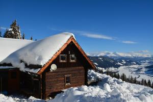 domek pokryty śniegiem na górze w obiekcie Wurzelhütte w mieście Sankt Margarethen im Lungau