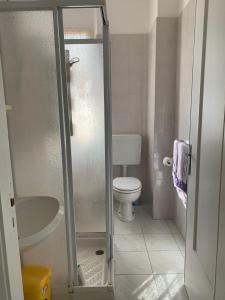 Fiumaretta di AmegliaAppartamento 8的带厕所和淋浴的小浴室