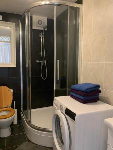 倫敦的住宿－Farriers House，带淋浴和洗衣机的浴室