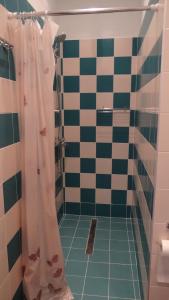 a bathroom with a shower with a checkered floor at De Lux Appartement in Druskininkai