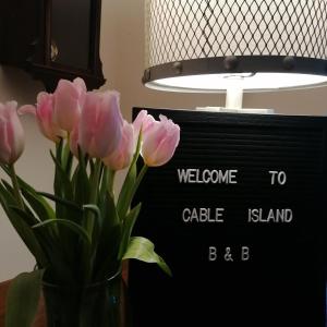 Galeriebild der Unterkunft Cable Island Bed and Breakfast in Cork