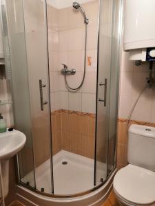 een douche in een badkamer met een toilet en een wastafel bij Apartmán Nikolka in Lipno nad Vltavou