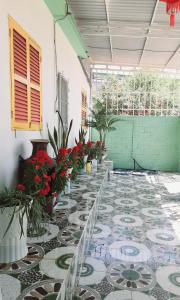BONNIE HOMESTAY Mui Ne في موي ني: غرفة بها أرضية من البلاط مع الزهور والنباتات