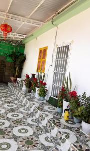 a room with potted plants on a tile floor at BONNIE HOMESTAY Mui Ne in Mui Ne