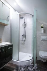 a bathroom with a shower with a sink and a toilet at Apartma Tia in Zreče