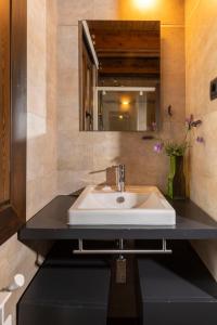 a bathroom with a sink and a mirror at Apartamentos Casa Roldan I in Benasque