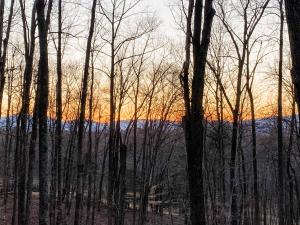 un groupe d'arbres au coucher du soleil en arrière-plan dans l'établissement Mountain Retreat Nesteled in the Virginia Foothills, à Charlottesville