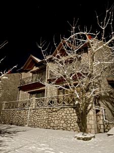 un albero nella neve davanti a un edificio di Petradi Residence @ Agoriani-Parnassus a Eptalofos
