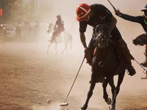 Gallery image of amir homestay in Leh