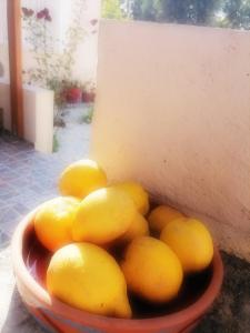 Fotografie z fotogalerie ubytování Lemon Tree House v destinaci Kalyves