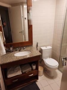 a bathroom with a toilet and a sink and a mirror at Studio Mercure Hotel Moema - Av. Jamaris 100 in Sao Paulo