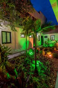 a garden with green lights in front of a house at Pousada Jardim do Lago in Cascavel