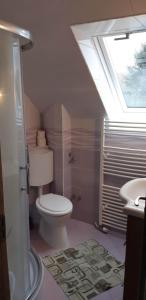 Koupelna v ubytování Rózsa Apartment + 39 fotografií