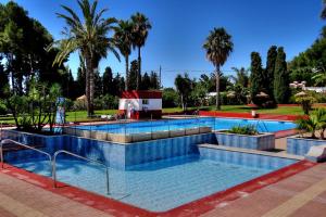 una piscina en un parque con palmeras en Montepino 48 en La Herradura