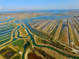 an aerial view of a river and a field at Ma Chambre d'Amis in Saint-Clément-des-Baleines