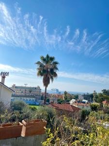 una palmera sentada en la cima de una ciudad en CASA MIMOSA: relax, vista mare, parcheggio gratis, en San Remo