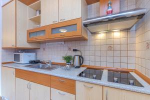 a kitchen with a sink and a microwave at Apartma Gaja in Kranjska Gora