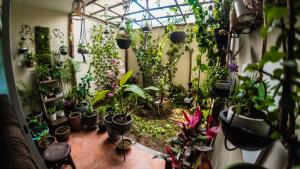 a greenhouse filled with lots of plants and flowers at Apartamento 3 Habitaciones Lima, Perú (Magdalena del Mar) in Lima