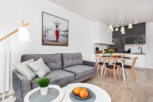 Kuchyňa alebo kuchynka v ubytovaní Seaside Apartamenty - Olimpijska 2 Mielno - Sauna & Fitness & Parking - w cenie pobytu