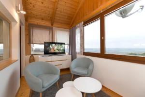 a living room with two chairs and a tv at Kellerstöckl Weinblick I und II in Eisenberg an der Pinka