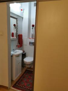 Koupelna v ubytování Klimatyczna kawalerka w centrum Warszawy