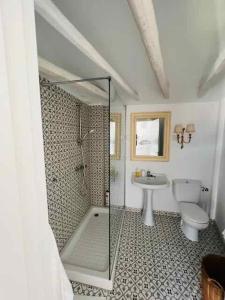 a bathroom with a shower and a toilet and a sink at APCH V7 Torreón in Chinchón