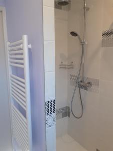 bagno con doccia e porta in vetro di Le MARINE a Saint-Martin-dʼArdèche