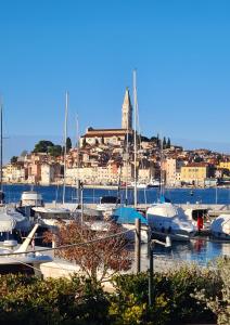 Gallery image of All My Loving in Rovinj