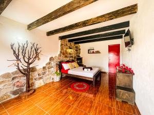 洛斯桑托斯Parador La Mesa Redonda Hotel y Glamping的有石墙的客厅