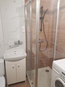 La salle de bains est pourvue d'une douche et d'un lavabo. dans l'établissement Apartament L14, Mieszkanie dla Wszystkich, à Konin