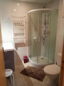 ein Bad mit einer Dusche und einem WC in der Unterkunft Résidence Maurice in Ax-les-Thermes