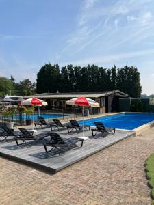 a group of chairs and umbrellas next to a swimming pool at Woodlodge High Chaparral in Oorsbeek
