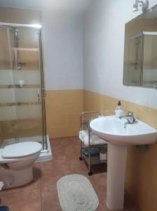 a bathroom with a toilet and a sink and a shower at Apartamento turístico Rutas del Torcal in Villanueva de la Concepción