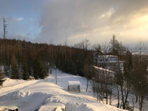 pokryty śniegiem stok z wyciągiem narciarskim w oddali w obiekcie Bellevue apartments Vila Vlasta Starý Smokovec w mieście Vysoke Tatry - Horny Smokovec