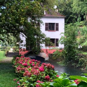 une maison fleurie en face d'une rivière dans l'établissement Moulin de Belle Isle, à Bèze