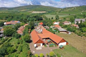 an aerial view of a house in a village at Nyakigl&aacute;b Villa in Szegi