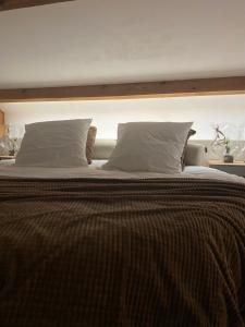 a large bed with two pillows on top of it at Pasithéa Loft Spa Privatif in Calais