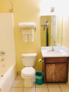 uma casa de banho com um WC e um lavatório em Classic Suites - Cleveland em Cleveland