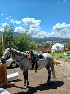 Hosté ubytování Mini Cabaña Roca Glamping
